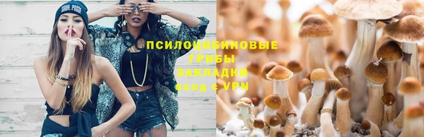 метамфетамин Ладушкин