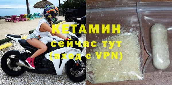 прущие грибы Лабытнанги