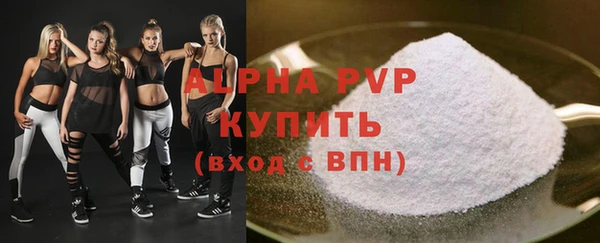 прущие грибы Лабытнанги