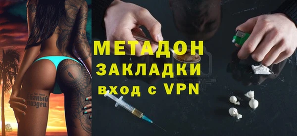 прущие грибы Лабытнанги