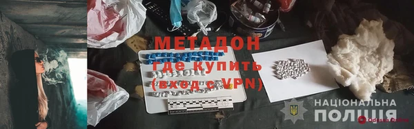 прущие грибы Лабытнанги