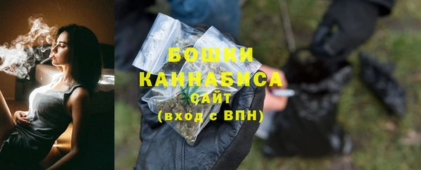 прущие грибы Лабытнанги