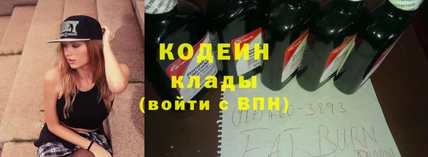 прущие грибы Лабытнанги