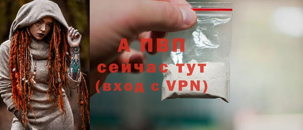 прущие грибы Лабытнанги