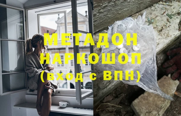 прущие грибы Лабытнанги