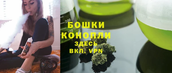 прущие грибы Лабытнанги