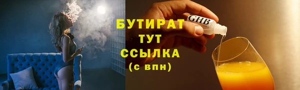 прущие грибы Лабытнанги
