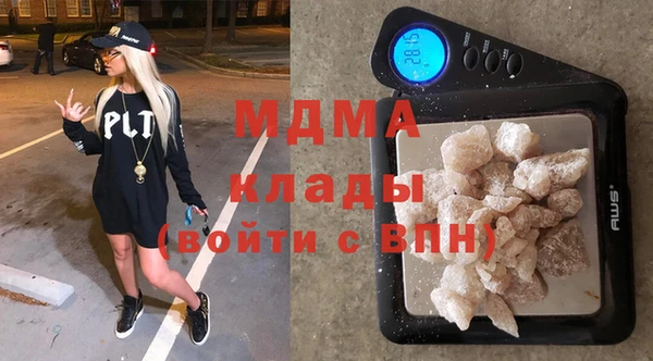 прущие грибы Лабытнанги