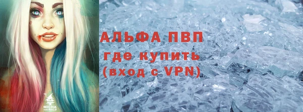 прущие грибы Лабытнанги