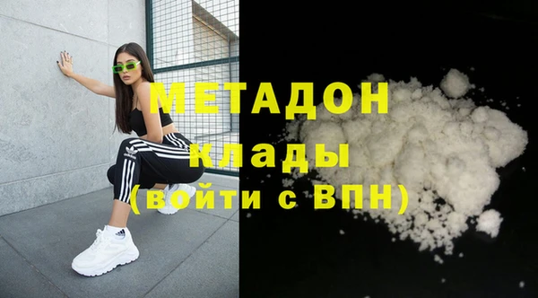 прущие грибы Лабытнанги