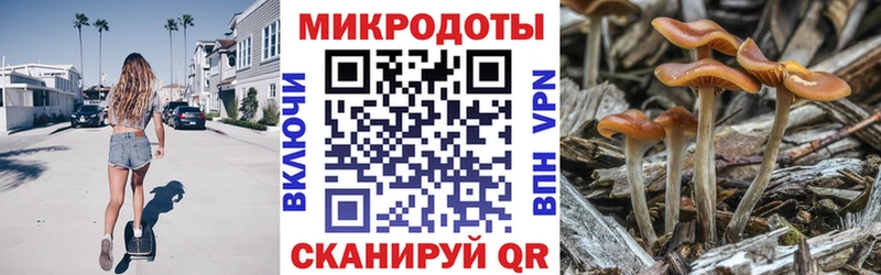 Галлюциногенные грибы мицелий Ильский
