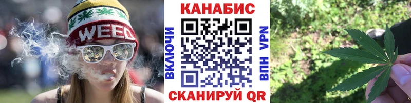 что такое Ильский Каннабис SATIVA & INDICA